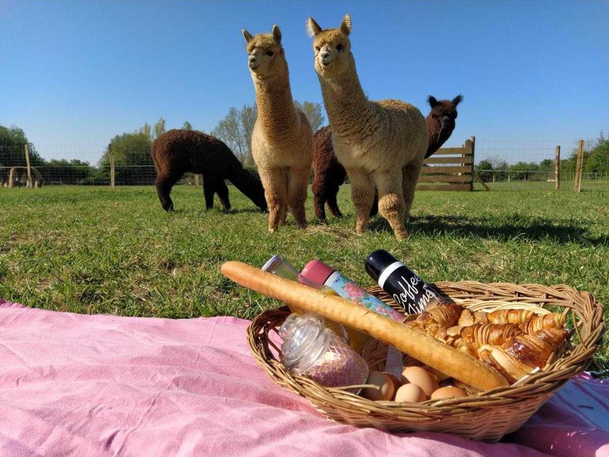 Bed and Breakfast Domaine Ramonjavel, Glamping & Alpaca'S Fongrave Экстерьер фото