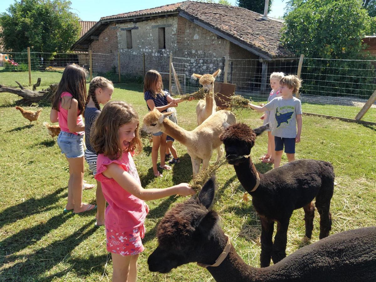 Bed and Breakfast Domaine Ramonjavel, Glamping & Alpaca'S Fongrave Экстерьер фото